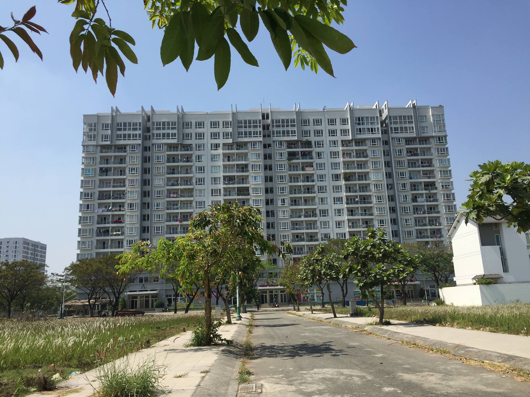 Báo cáo thị trường bất động sản tháng 10/2025