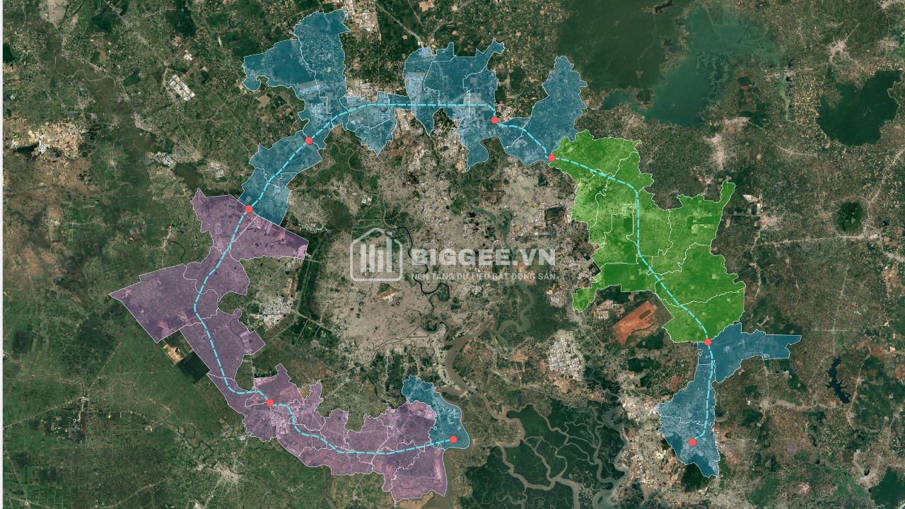INFOGRAPHIC VÀNH ĐAI 4 TP.HCM